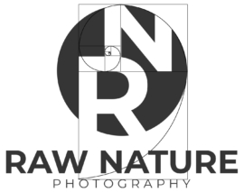 Capturing the Essence of the Wild – Modern Logo Design for RAW NATURE