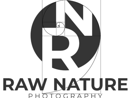 Capturing the Essence of the Wild – Modern Logo Design for RAW NATURE